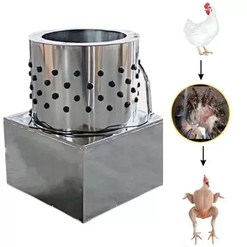 Commercial 5 Bird Chicken De-Feathering 1 Hp Crompton Motor