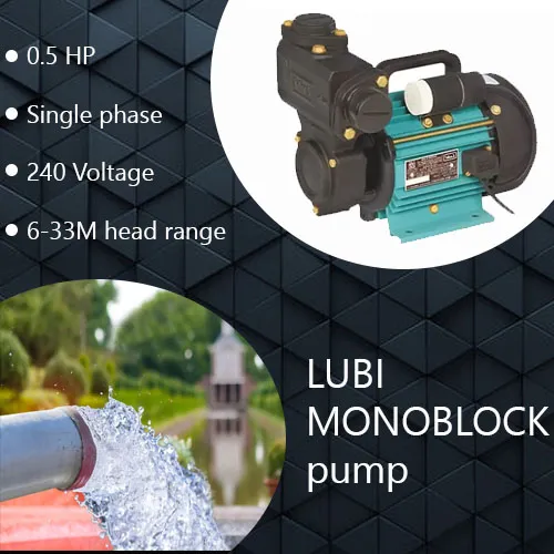 LUBI---Monoblock--Pump---05-HP-Champion-Plus-II-H8HAY