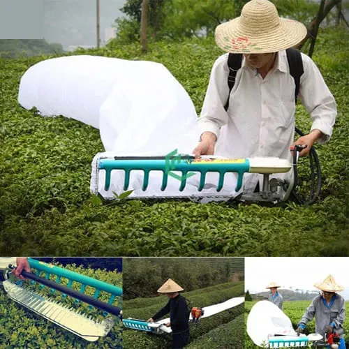 Naachi-ECO-600-Single-Operator-Tea-Harvester-71nxk