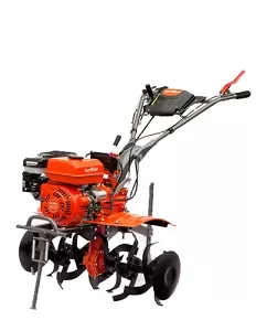 Neptune 6HP Petrol Power Weeder Belt Drive, Recoil Start, NWP-160B