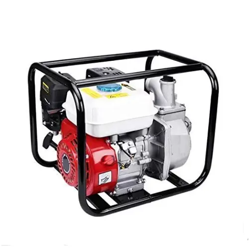 XPERT'S CHOICE Present 2 X2 Petrol Water Pump set WS 30X Centrifugal