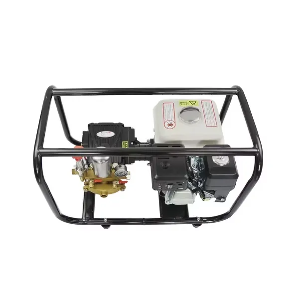 Portable Power Sprayer Set 4 Strokes 2.5HP