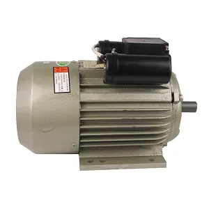 2 HP Copper Winding Single Phase Electric Motor, 220-240 V
