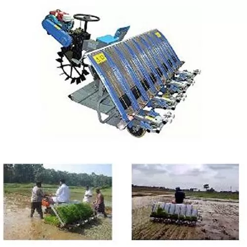 Rice-Transplanter-8-Row-4-Stroke-Diesel--4HP-269-CC-wW9rj