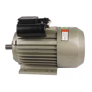 Heavy Duty Single Phase Electric Motor, 1 HP, 220 V